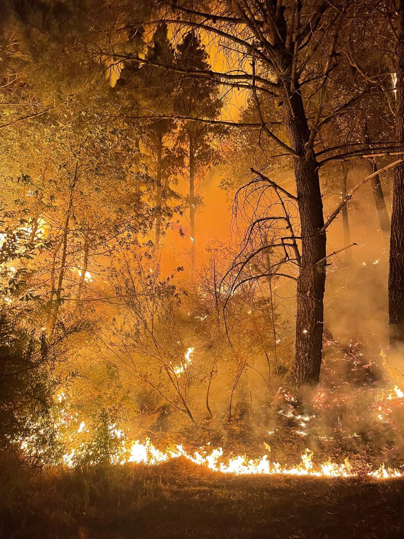 Las llamas asolan Sierra Bermeja.