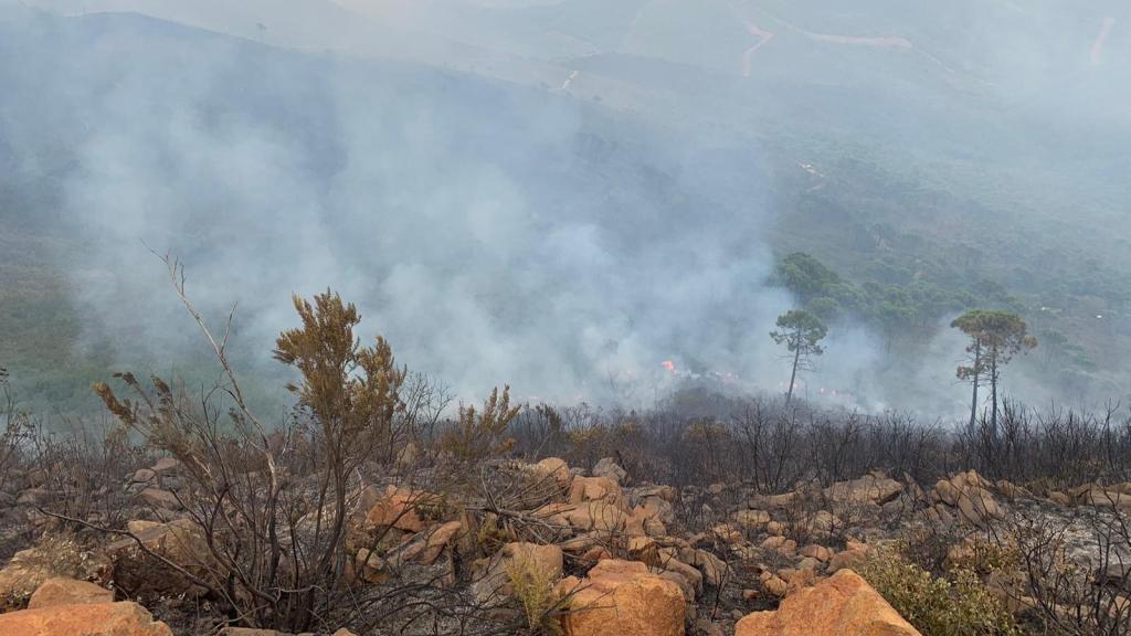 Zona quemada por el incendio de Sierra Bermeja.