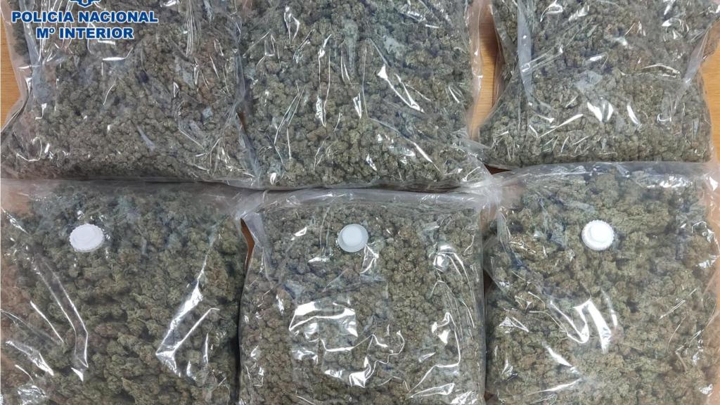 Sustancias incautadas