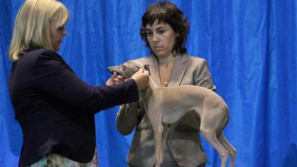 Encarna y su galgo lebrel en un concurso