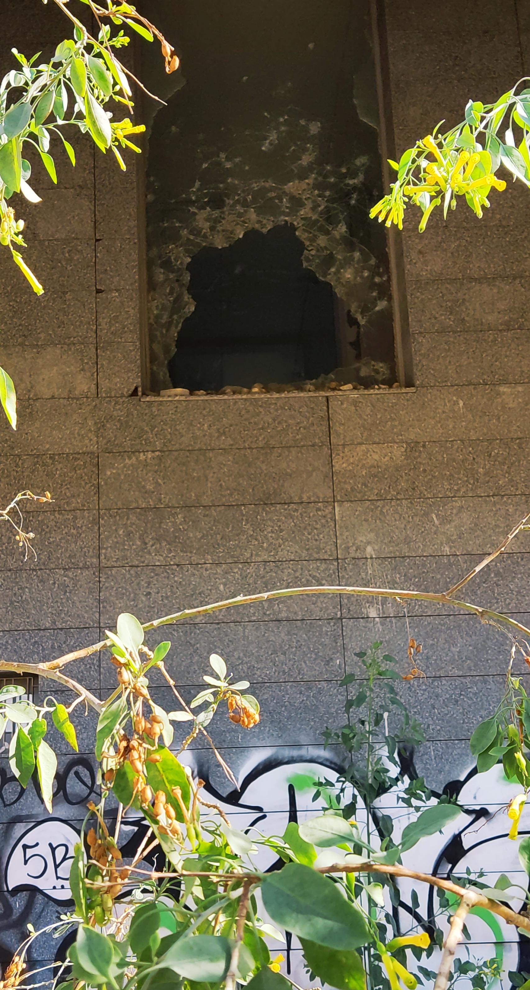 Uno de los numerosos cristales rotos que hay en el edificio.
