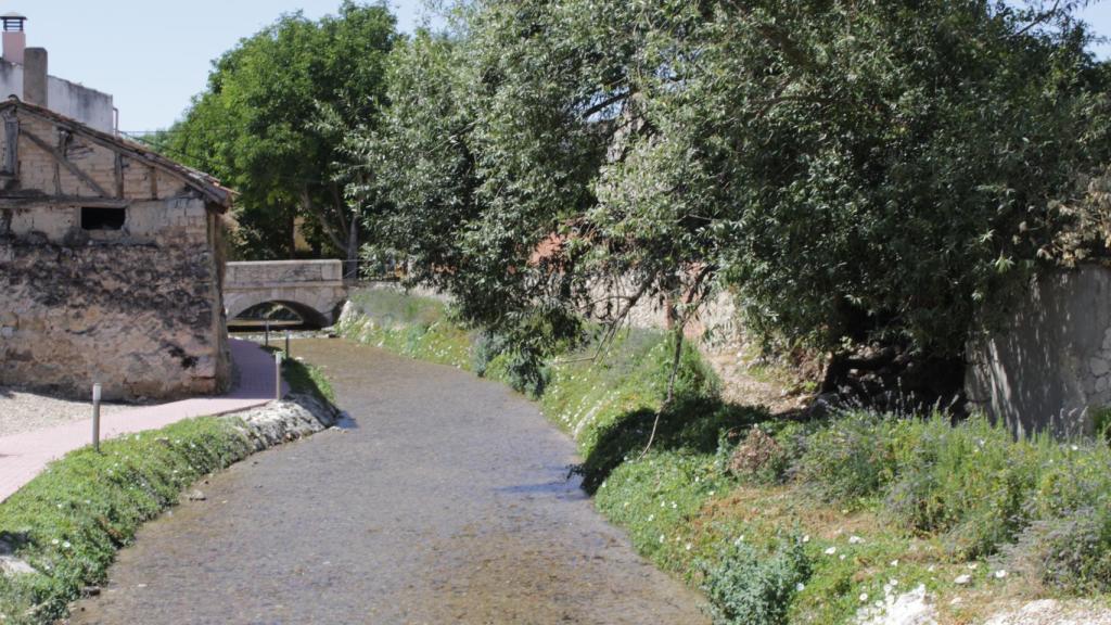 20210916 Concurso fotografia puentes y rios Laguna Contreras