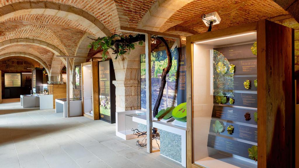 Museo de la Ciencia del Vino.