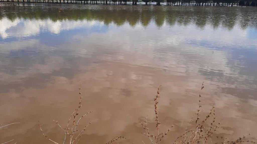 Inundaciones en El Toboso (Toledo)