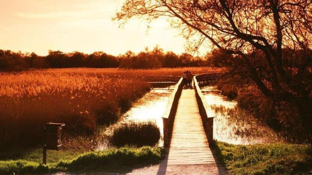 Las Tablas de Daimiel, en Castilla-La Mancha