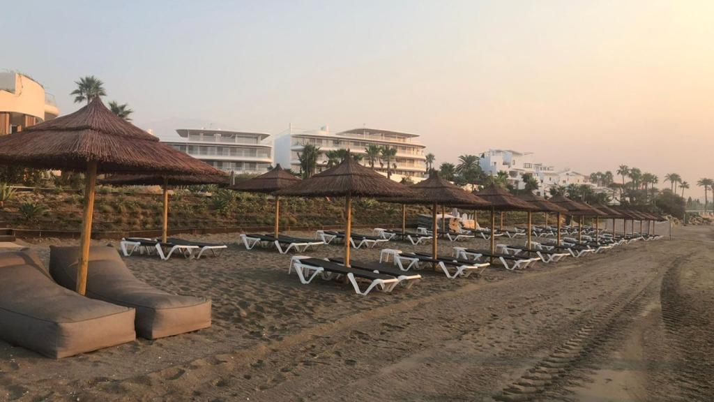 Imagen de las hamacas del Club Nido.