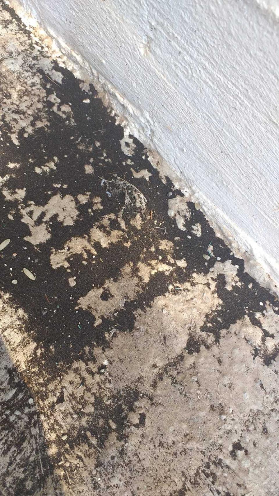 Parte de la ceniza que Mamen percibió cerca de casa.