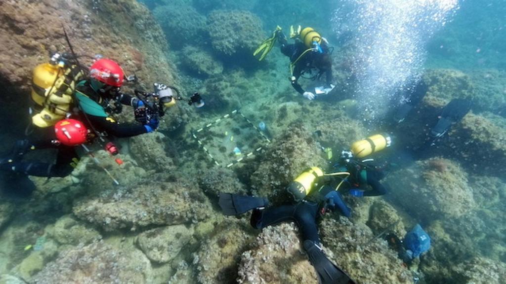Lugar donde se ha hallado el depósito de monedas.