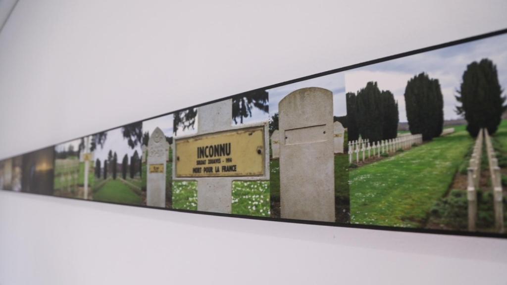 Más imágenes de la muestra.