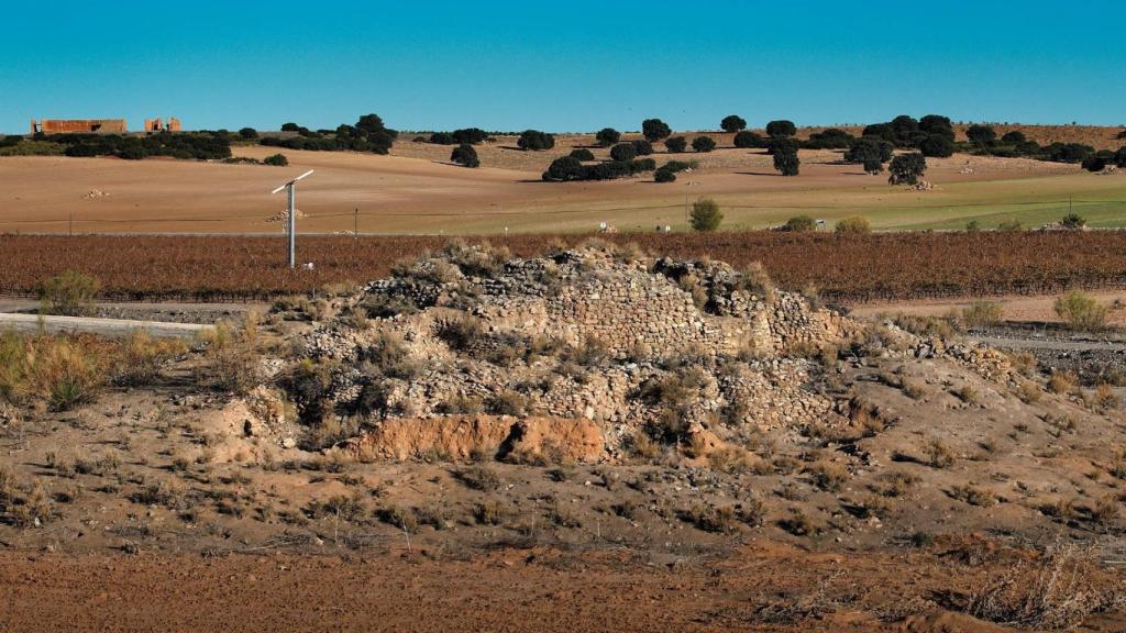 Excavaciones en la motilla de Retamar