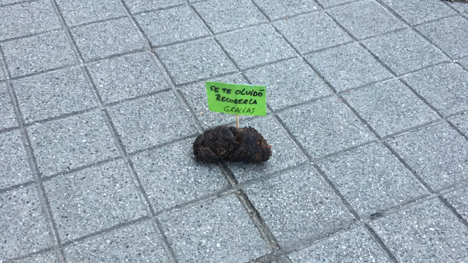 Cartel en una caca de perro en Pontevedra. Foto: Treintayseis