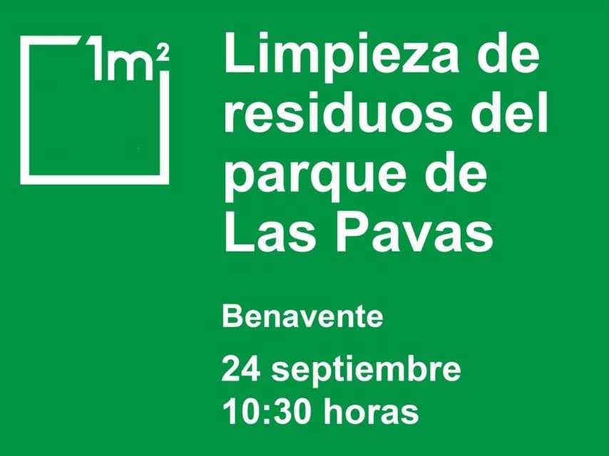 Cartel de la actividad