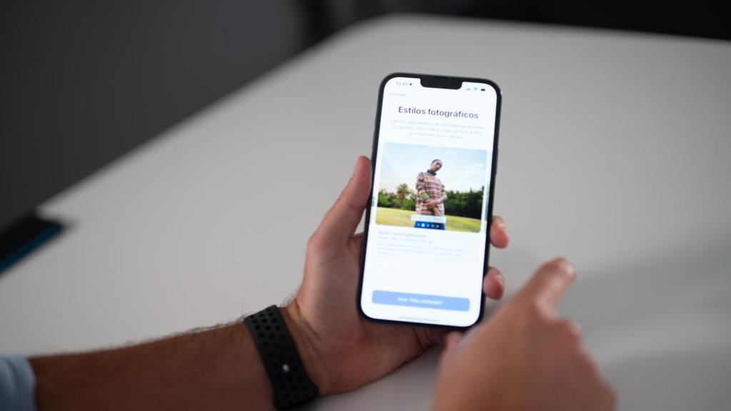 Gestión de Estilos.