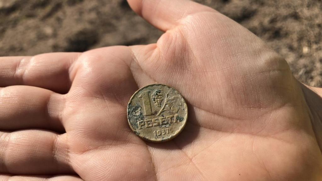 Moneda republicana localizada durante la prospección.