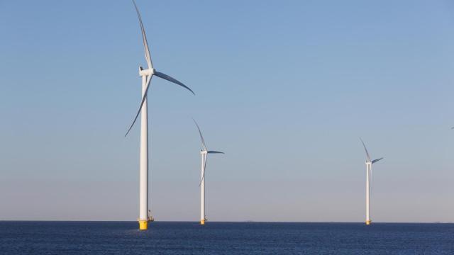 Parque eólico marino.