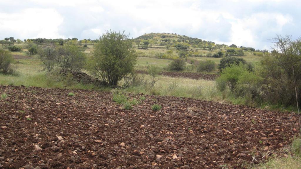 Volcán de Piedrabuena