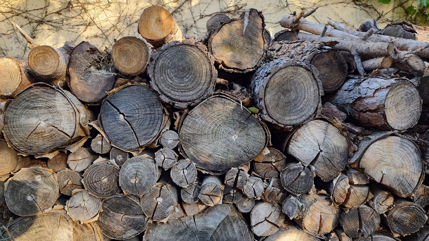 Probamos las cámaras del Motorola Edge 20 Pro