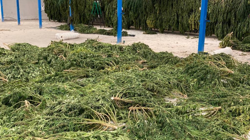 Operaciones antidroga en Toledo