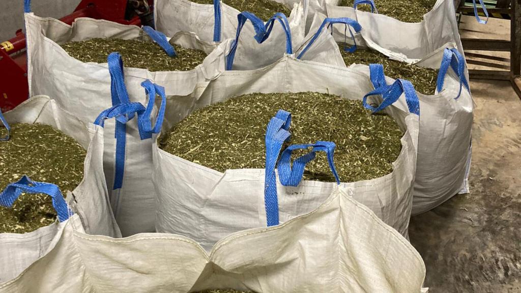 Las sacas de la droga