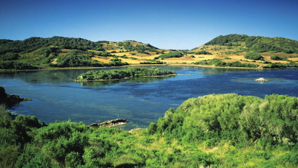 Parque natural de S'Albufera