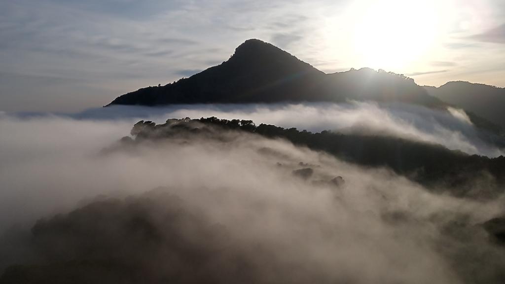 En la web senderismoenalicante.es se informa de una ruta para subir al Maigmó.