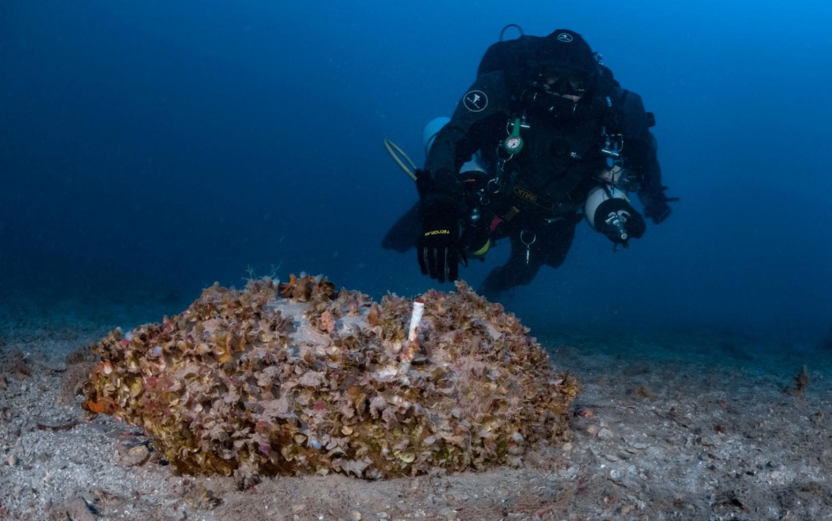 Ánfora Africana concrecionada.