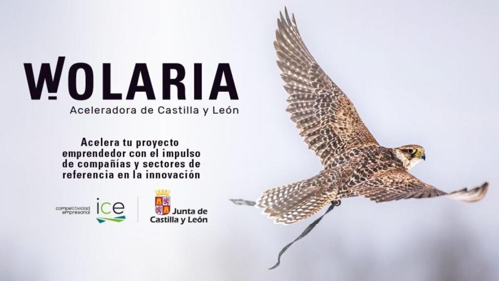 La aceleradora Wolaria impulsa 15 nuevos proyectos de emprendimiento innovador en la región