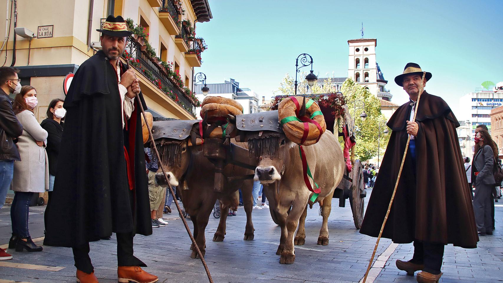 Imágenes de la ceremonia tradicional de Las Cantaderas por las fiestas de San Froilán en León