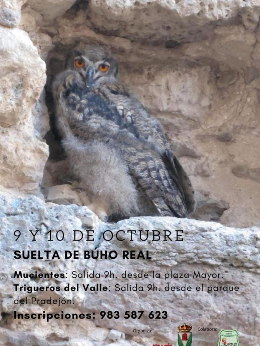 Imagen de la presentación del acto