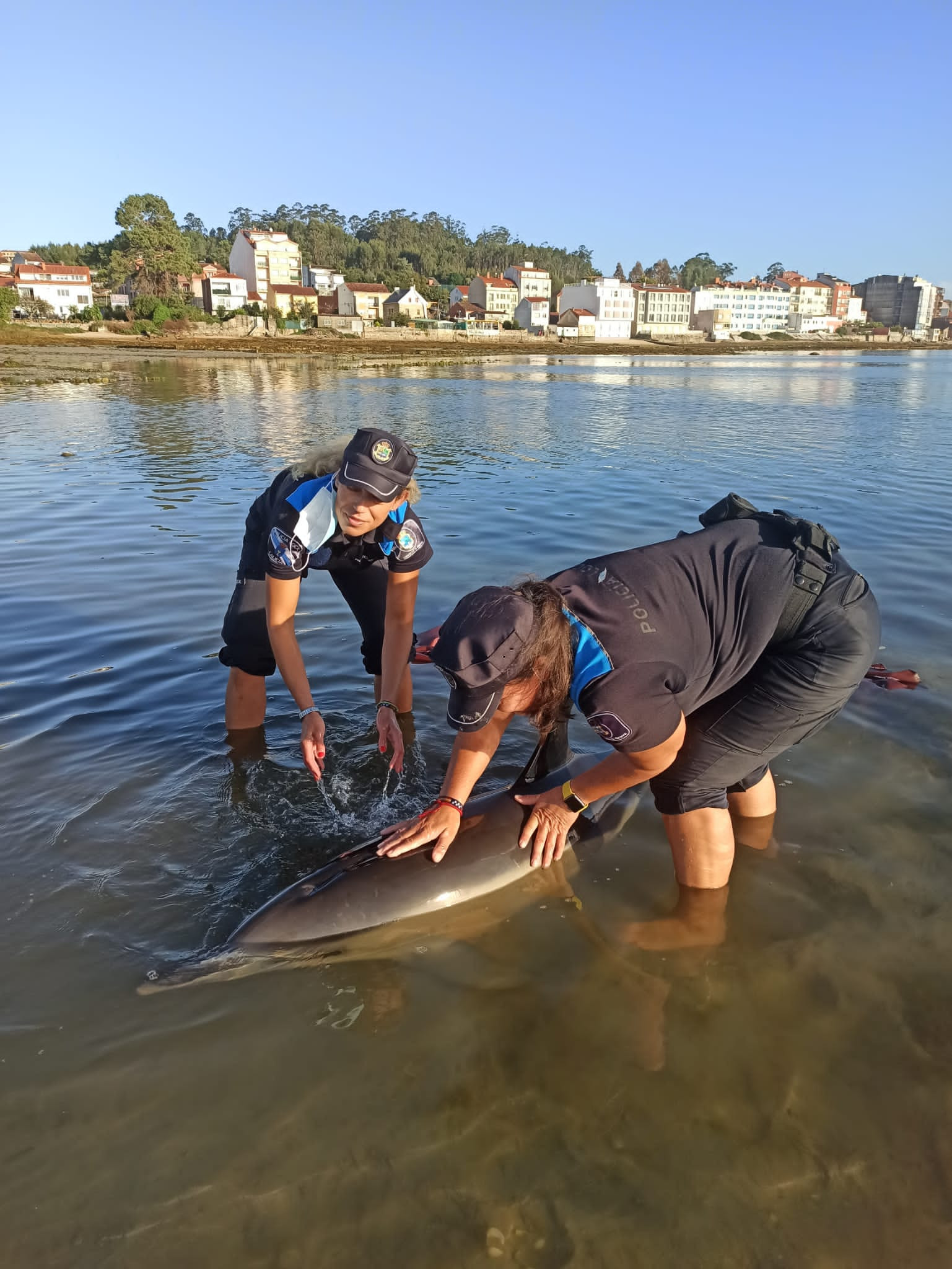 Dos agentes de la Policía Local mantuvieron hidratados a los animales