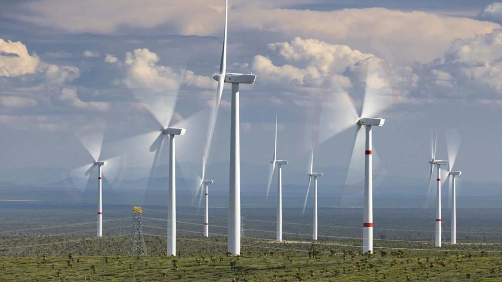 Parque eólico.