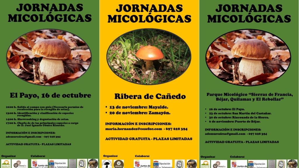 carteles jornadas micologicas salamanca