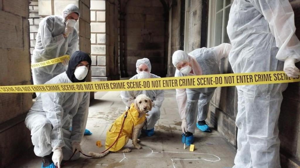 Premio a la mejor foto en una de las experiencias CSI