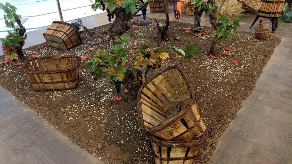 Recreación de un viñedo en Vallsur