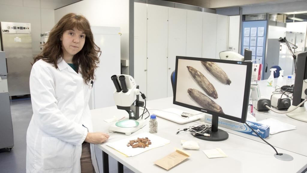La investigadora Elena Castillo-Lorenzo mostrando las semillas en un estereoscopio para la formación.
