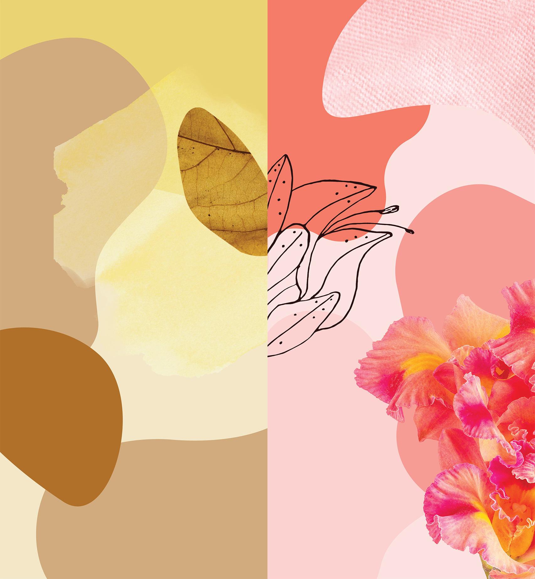 Los wallpapers del Google Pixel 6