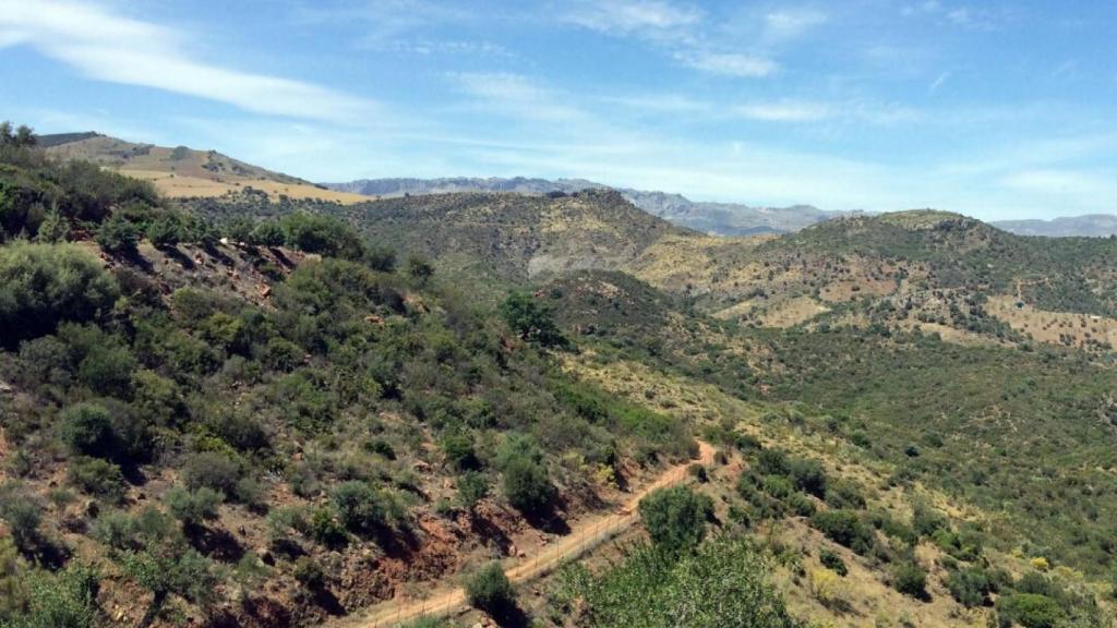 Los paisajes naturales que se disfrutan durante el trazado varían según la época del año que escojamos para recorrer el camino.