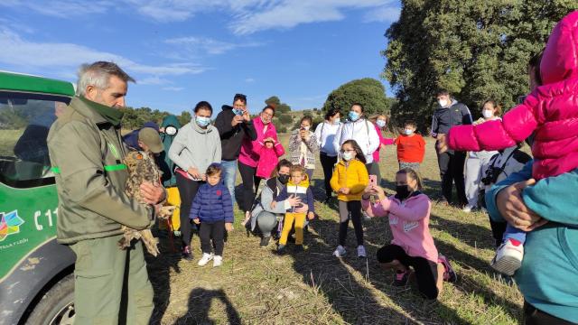 ICAL | Liberados dos ejemplares de búhos reales en Trigueros y Mucientes