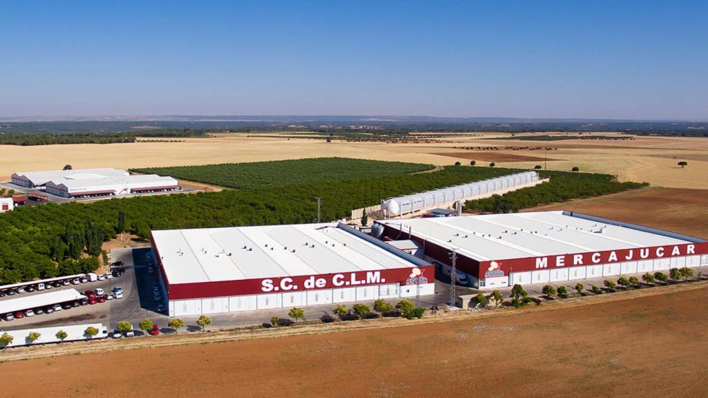 Vista aérea de la cooperativa de champiñones Mercajúcar, Villalgordo.