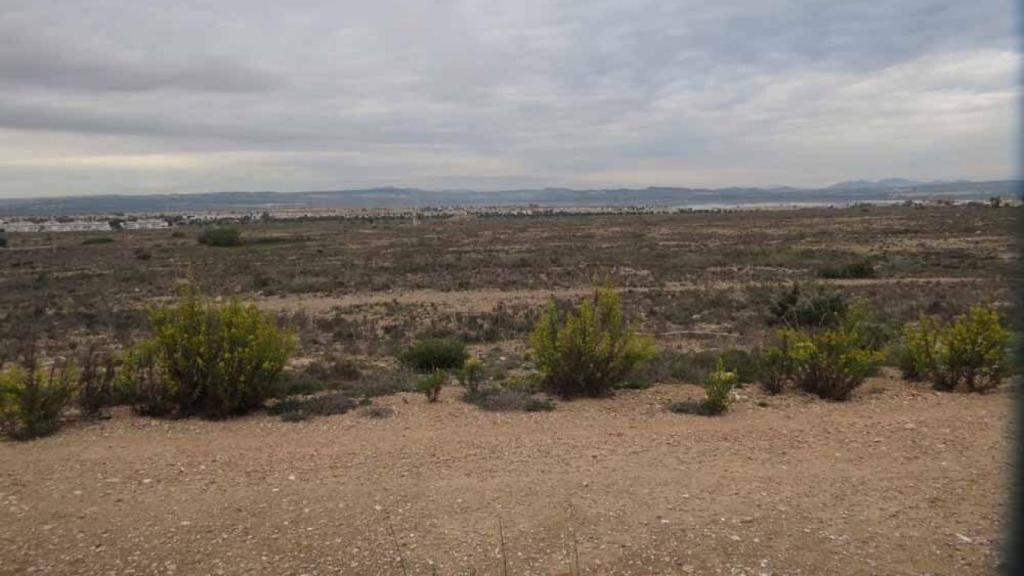 Terrenos de La Hoya de Torrevieja donde se construirá el nuevo Plan Parcial.