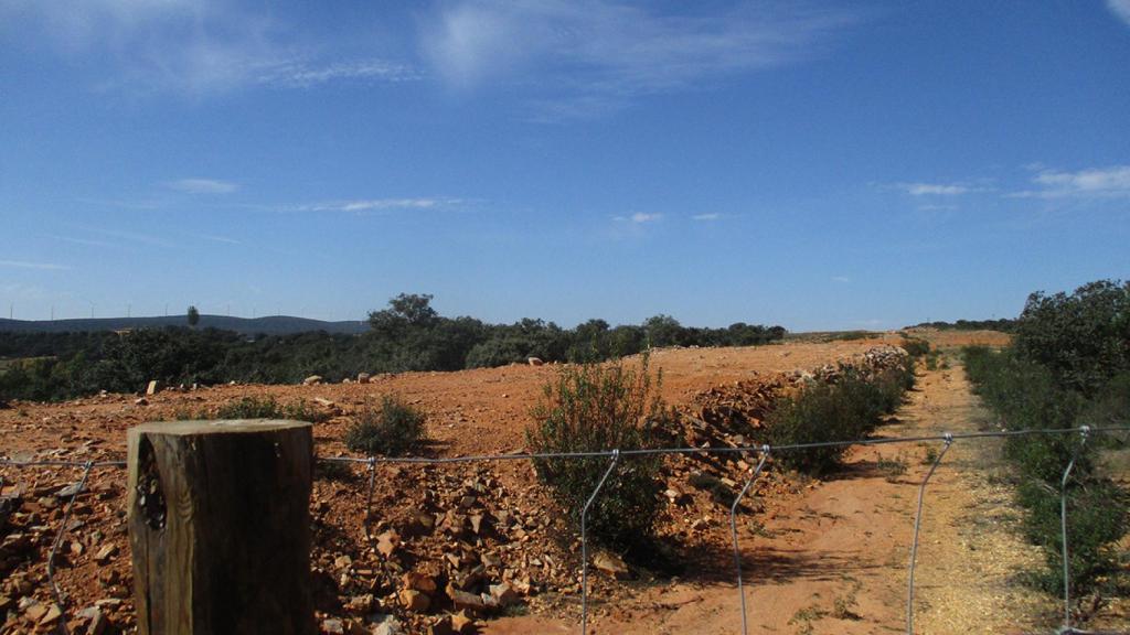 Lugar donde se iba a construir el aeródromo privado