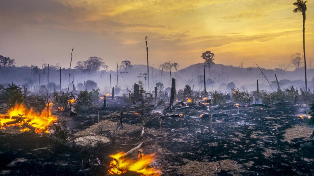 Antes de la elección de Bolsonaro, la deforestación en la Amazonía brasileña había caído sustancialmente desde su pico a principios de la década de los 2000 .