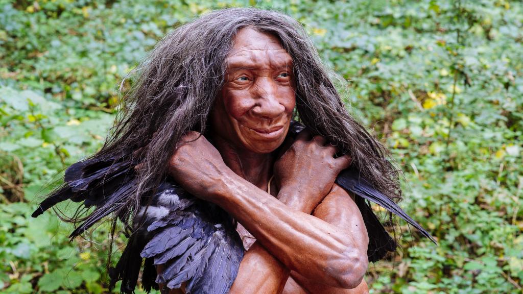 Reconstrucción de un 'Homo neanderthalensis'.