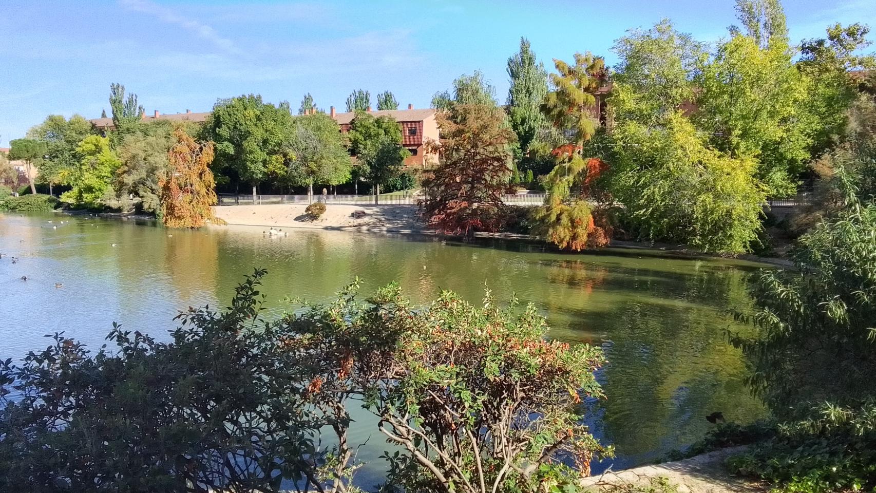 Fotografía HDR del Realme C11 de 2021