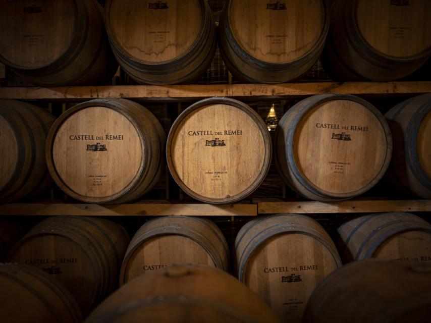 Sala de barricas Castell del Remei.