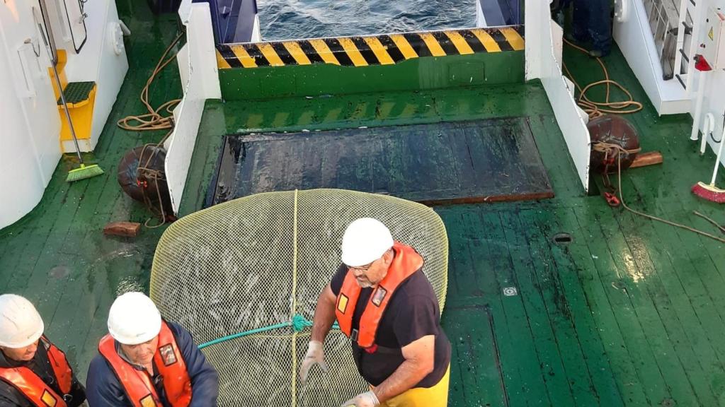 Profesionales trabajan en la campaña en el buque del Instituto Oceanográfico Español