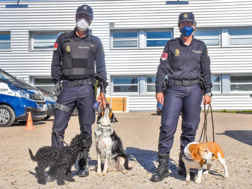 Álvaro y Elena junto a alguno de los animales que forman la Unidad de Guías Caninos de Castilla y León