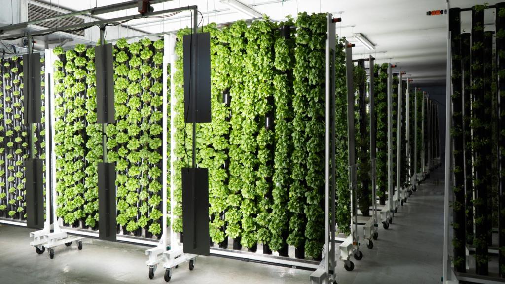 El cierre de la restauración obligó a Groots a replantear su producción de plantas y redirigirse al sector 'agrotech' y las proteínas vegetales.