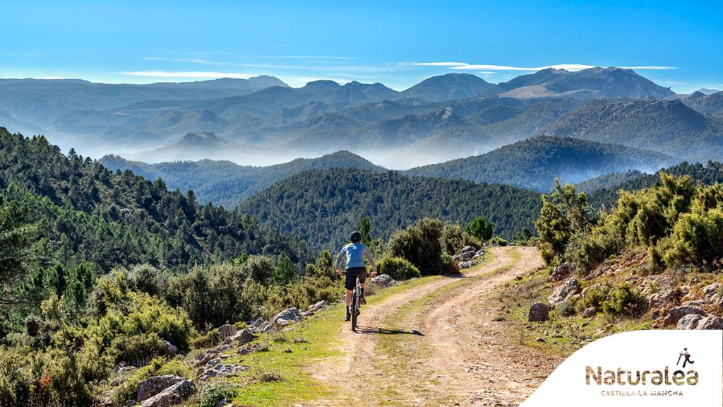 Las Fresnedas (Tus).