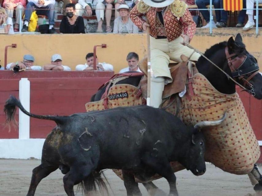 Uno de los astados de El Raso de Portillo demuestra su bravura en el ruedo